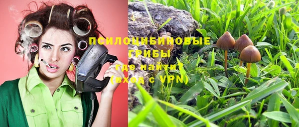 mdpv Алзамай