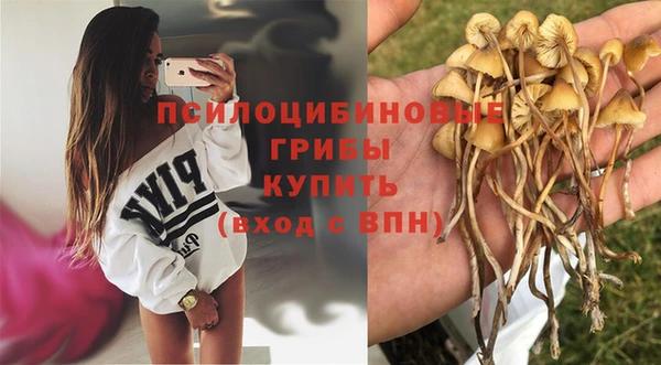 mdpv Алзамай