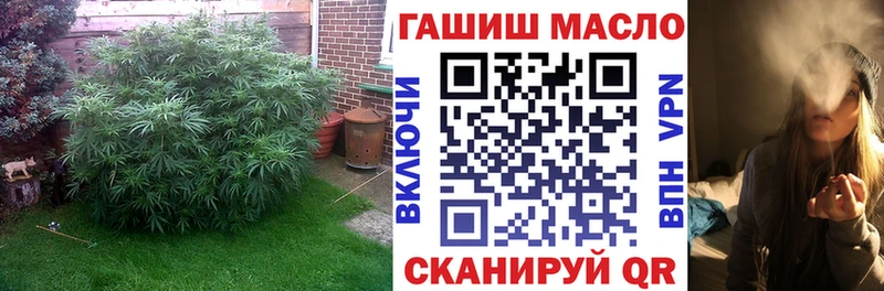 KRAKEN вход  Алексин  Дистиллят ТГК Wax 