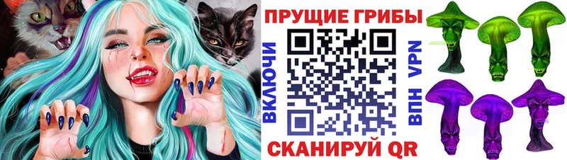 Галлюциногенные грибы Psilocybe Алексин